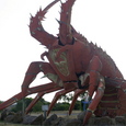 Kingston's Giant Lobster